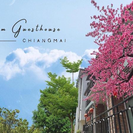 Bloom Guesthouse شيانغ ماي المظهر الخارجي الصورة