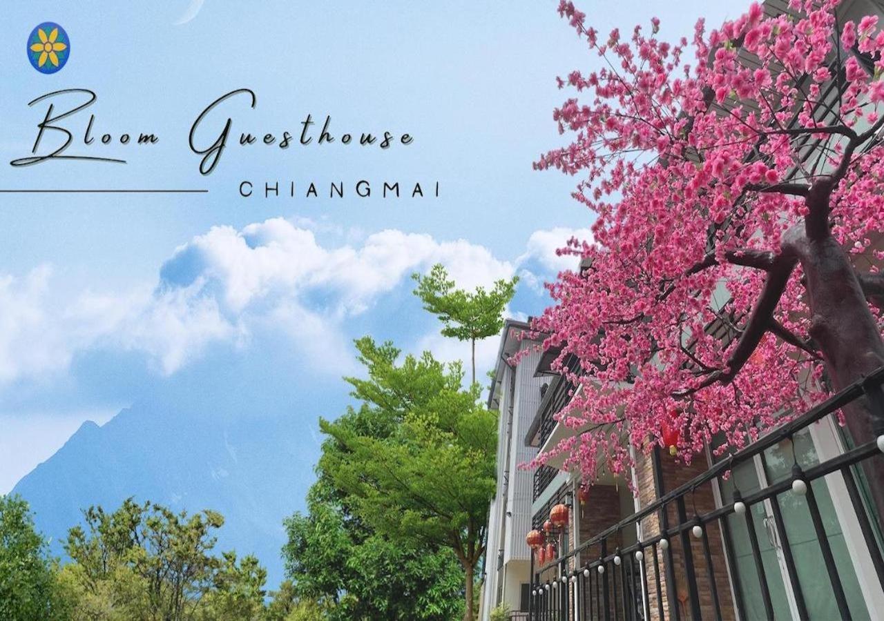 Bloom Guesthouse شيانغ ماي المظهر الخارجي الصورة